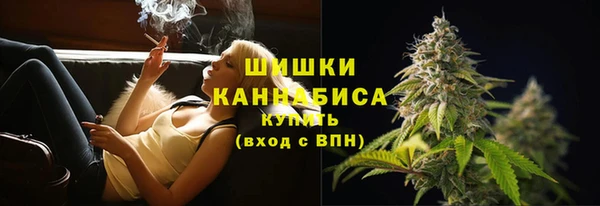 крисы Заводоуковск