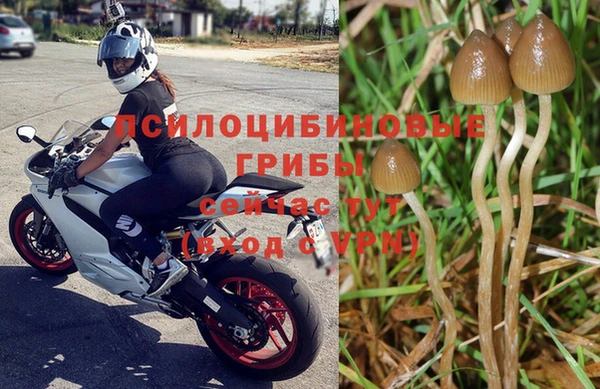 крисы Заводоуковск
