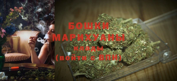 крисы Заводоуковск