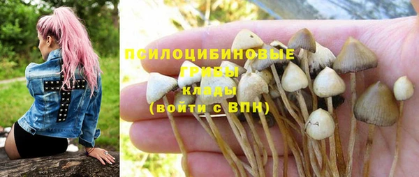 крисы Заводоуковск