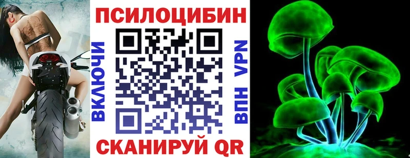 Купить  Канск  Псилоцибиновые грибы Psilocybe 